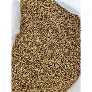 Dried Black Soldier Fly Larvae