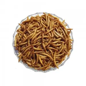 DpatQueen Bird Dried Mealworm Topping