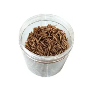 Dpat Dried Black Soldier Fly Larvae