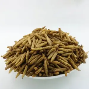 Black Soldier Fly Whole Dried Larvae