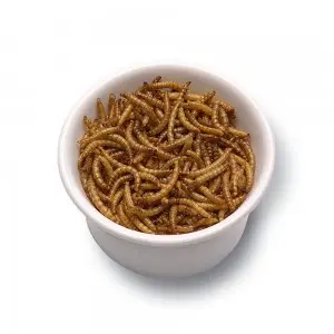 Dpat Queen Natural Dried Mealworms 850g
