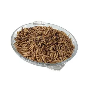 Dried Black Soldier Fly Larvae