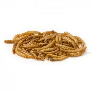 DpatQueen Bird Dried Mealworm Topping