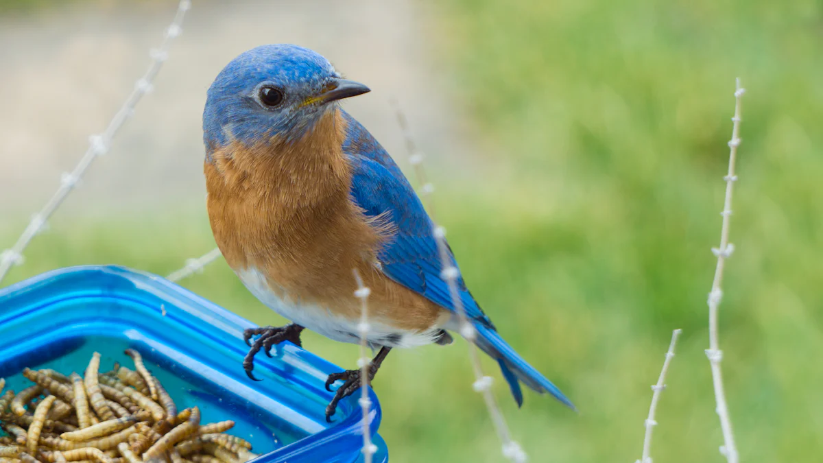 How to Rehydrate Dried Mealworms