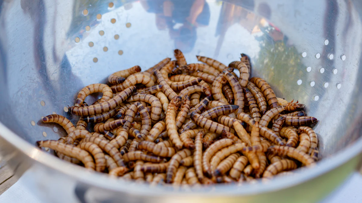 Animals That Can Eat Mealworms Dried