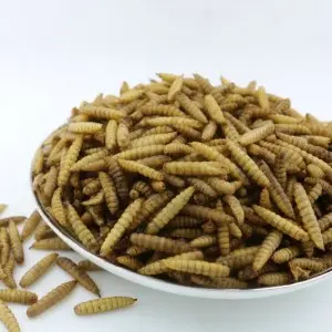 Black Soldier Fly Whole Dried Larvae