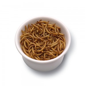 Nutrient and convenient insect protein for dry yellow mealworms