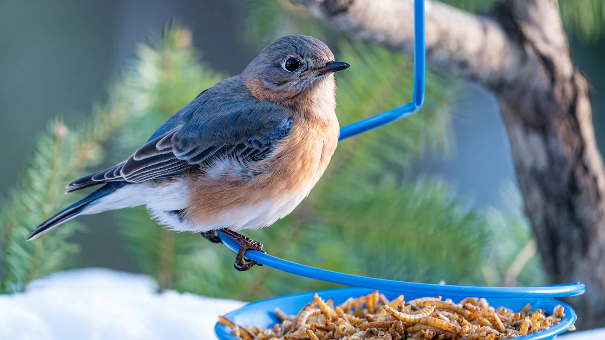 Essential Tips for Feeding Dried Mealworms to Birds and Pets
